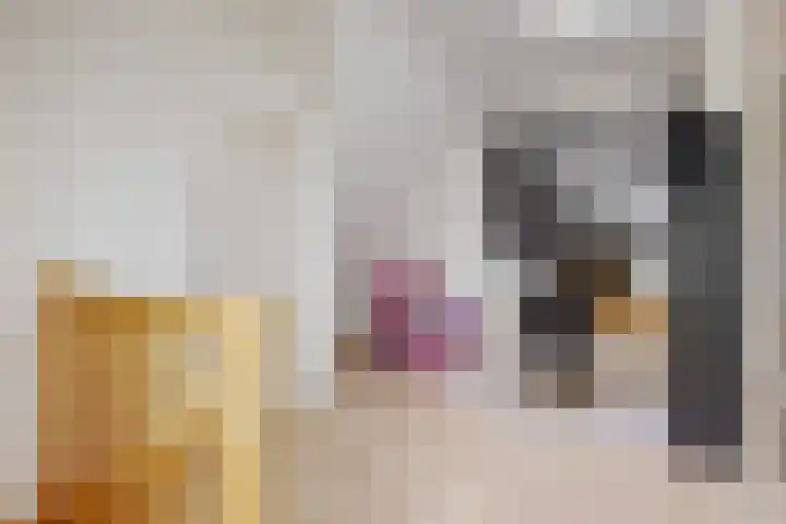 Geerkens 4 Limmen thumbnail 40