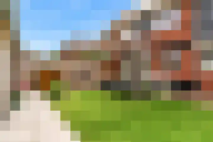 Geerkens 4 Limmen thumbnail 47