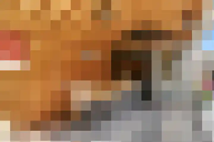 Geerkens 4 Limmen thumbnail 53