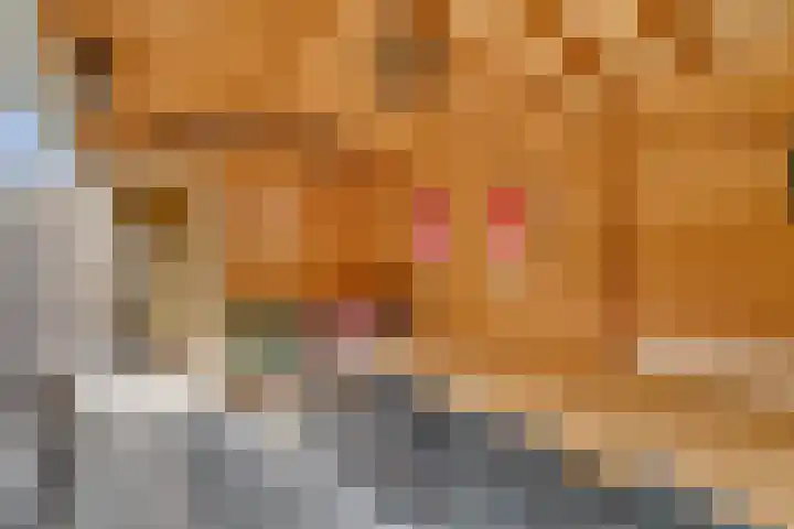 Geerkens 4 Limmen thumbnail 54