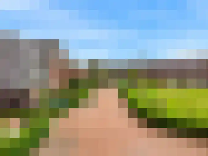 Geerkens 4 Limmen thumbnail 60