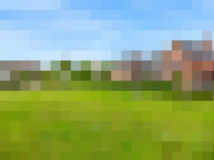 Geerkens 4 Limmen thumbnail 61