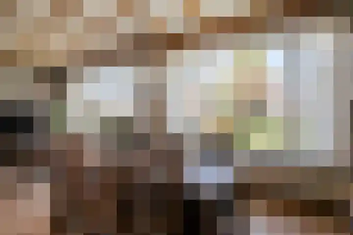Geerstraat 14 Bergeijk thumbnail 11