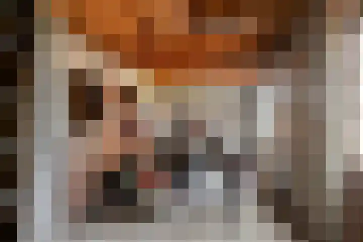 Geerstraat 14 Bergeijk thumbnail 31