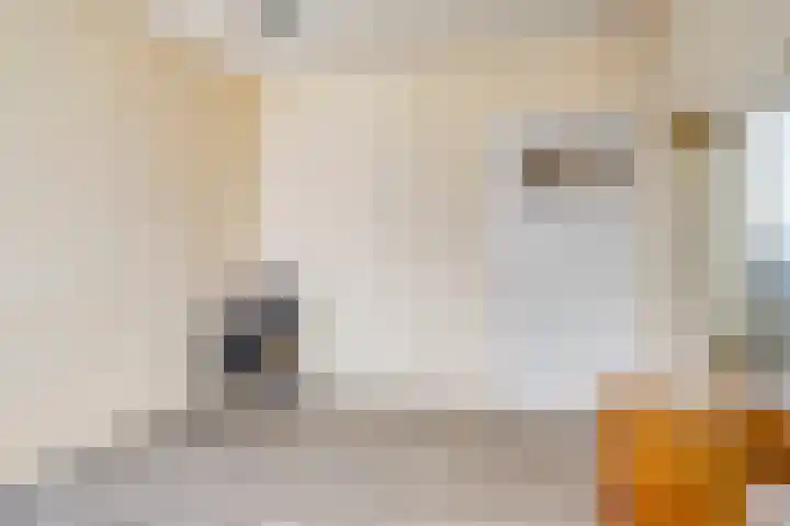 Geerstraat 8 Bergeijk thumbnail 11