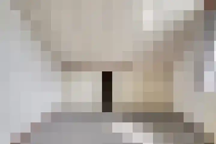 Geerstraat 8 Bergeijk thumbnail 21