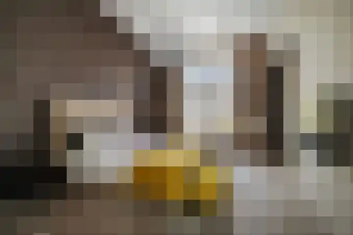 Geert Grootestraat 9 Deventer thumbnail 26
