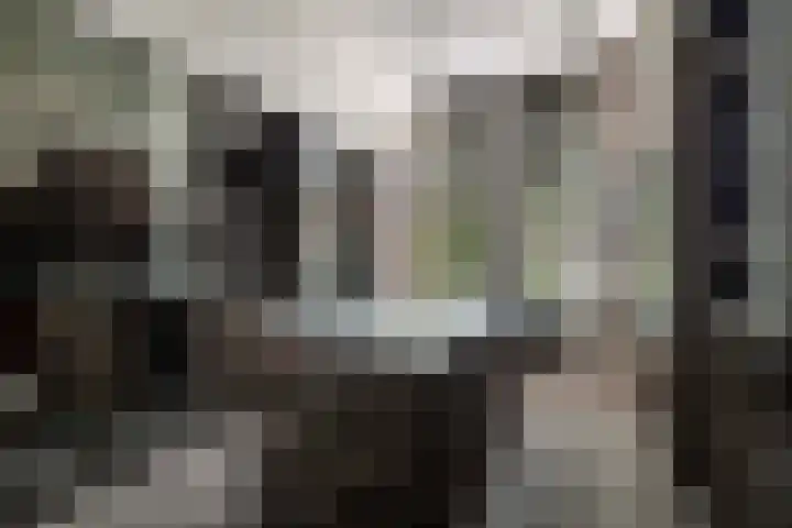 Geert Grootestraat 9 Deventer thumbnail 32