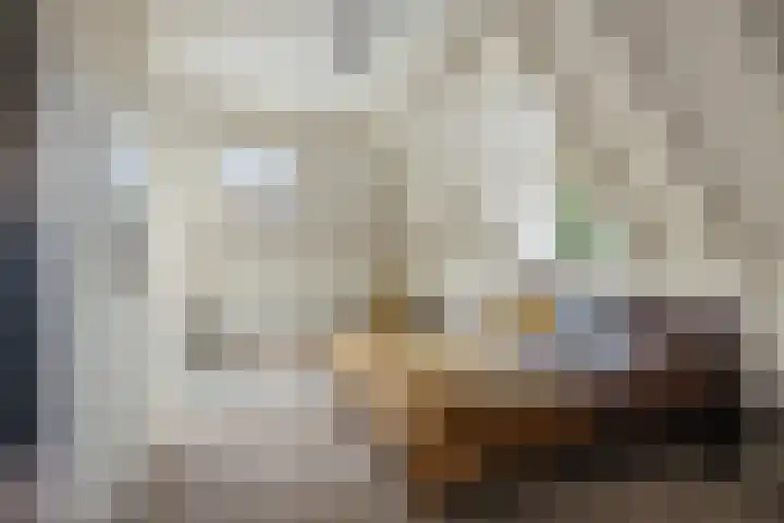 Geert Grootestraat 9 Deventer thumbnail 54