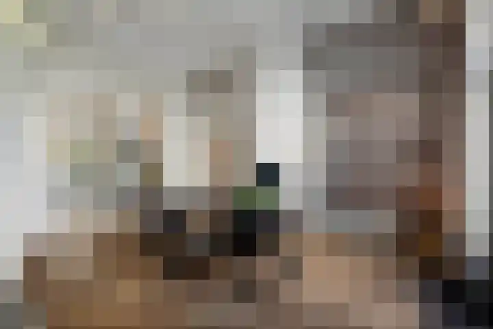 Geert Grootestraat 9 Deventer thumbnail 6