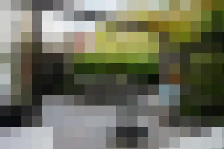 Geert Grootestraat 9 Deventer thumbnail 66