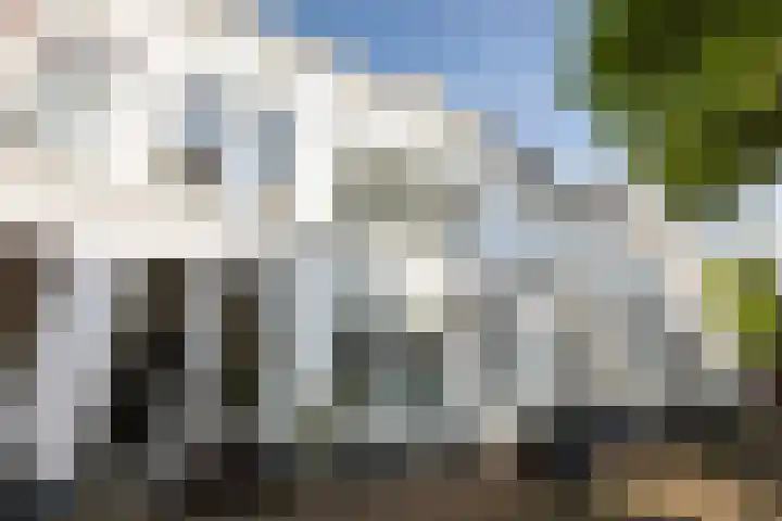 Geert Grootestraat 9 Deventer thumbnail 70