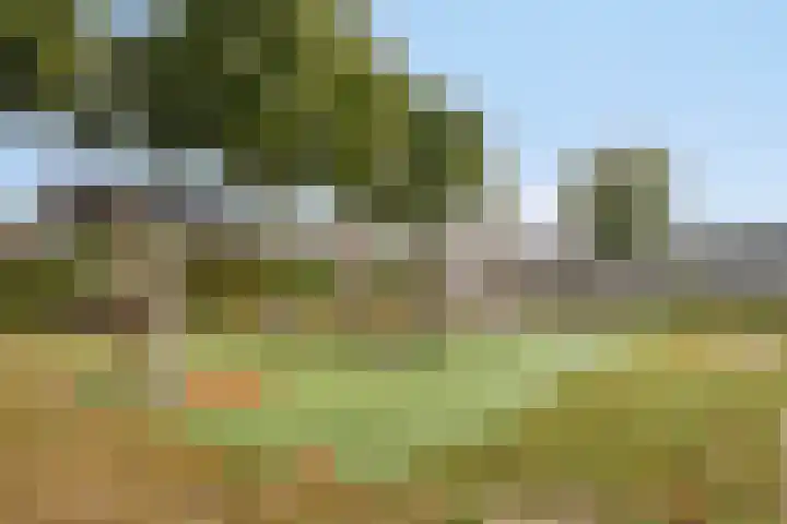 Geerveld 6 Teteringen thumbnail 34