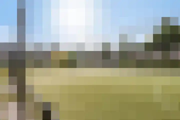 Geerveld 6 Teteringen thumbnail 35