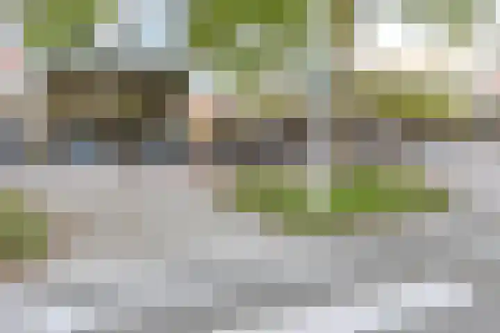 Geervliet 29 Amsterdam thumbnail 33