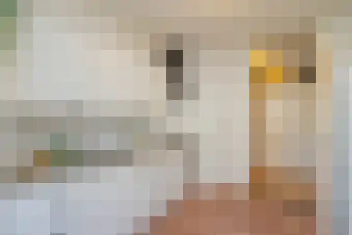 Geervliet 67 Amsterdam thumbnail 13