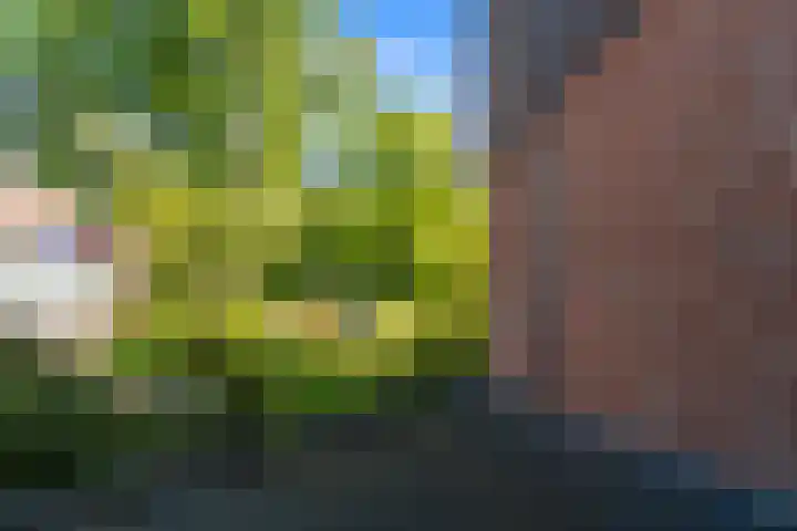 Geerweg 152 Delft thumbnail 22