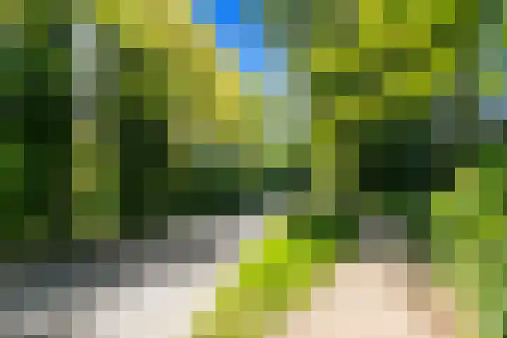 Geerweg 152 Delft thumbnail 27