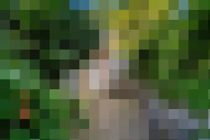 Geerweg 152 Delft thumbnail 7