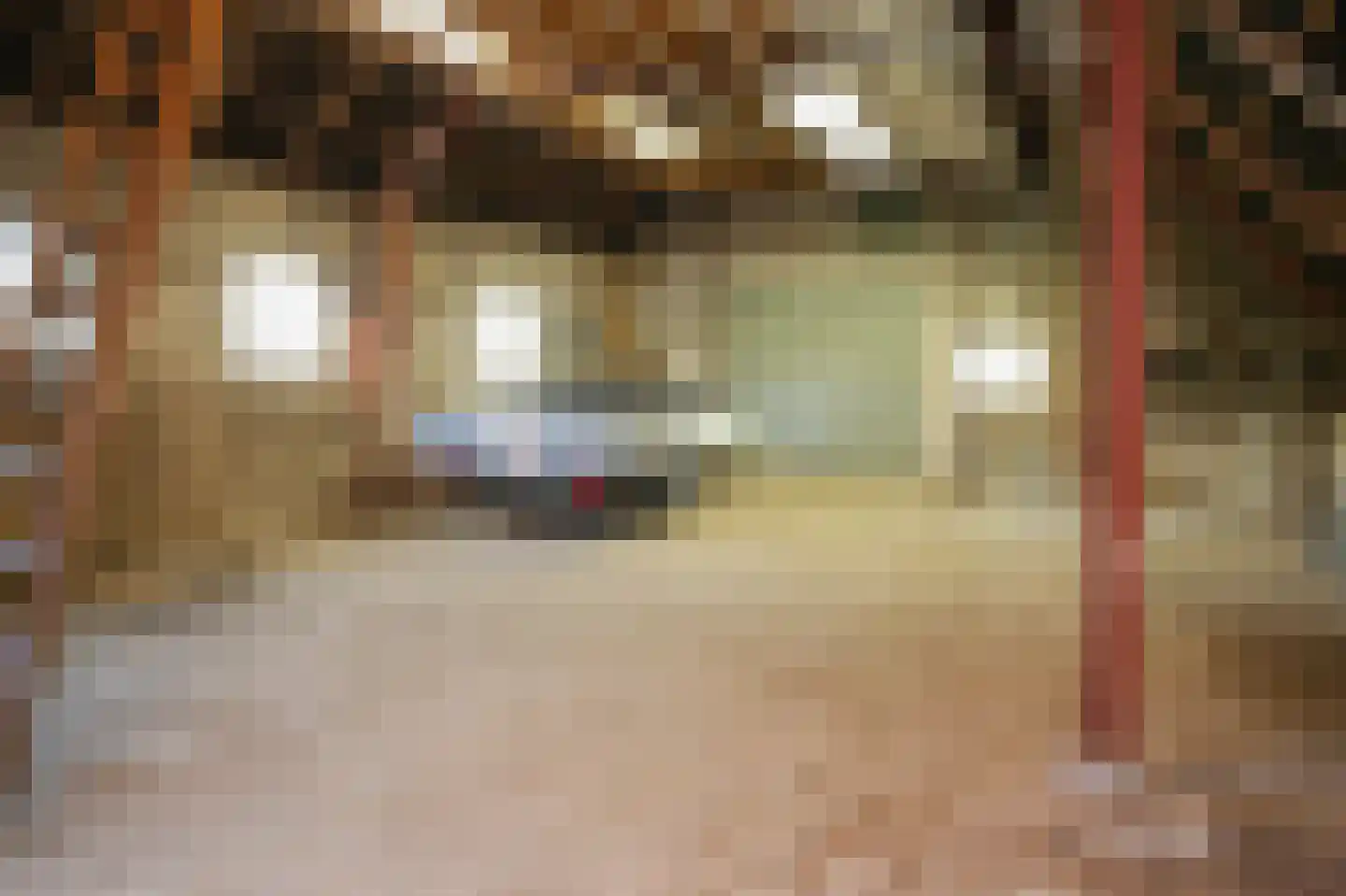Geerweg 6 Alphen thumbnail 5
