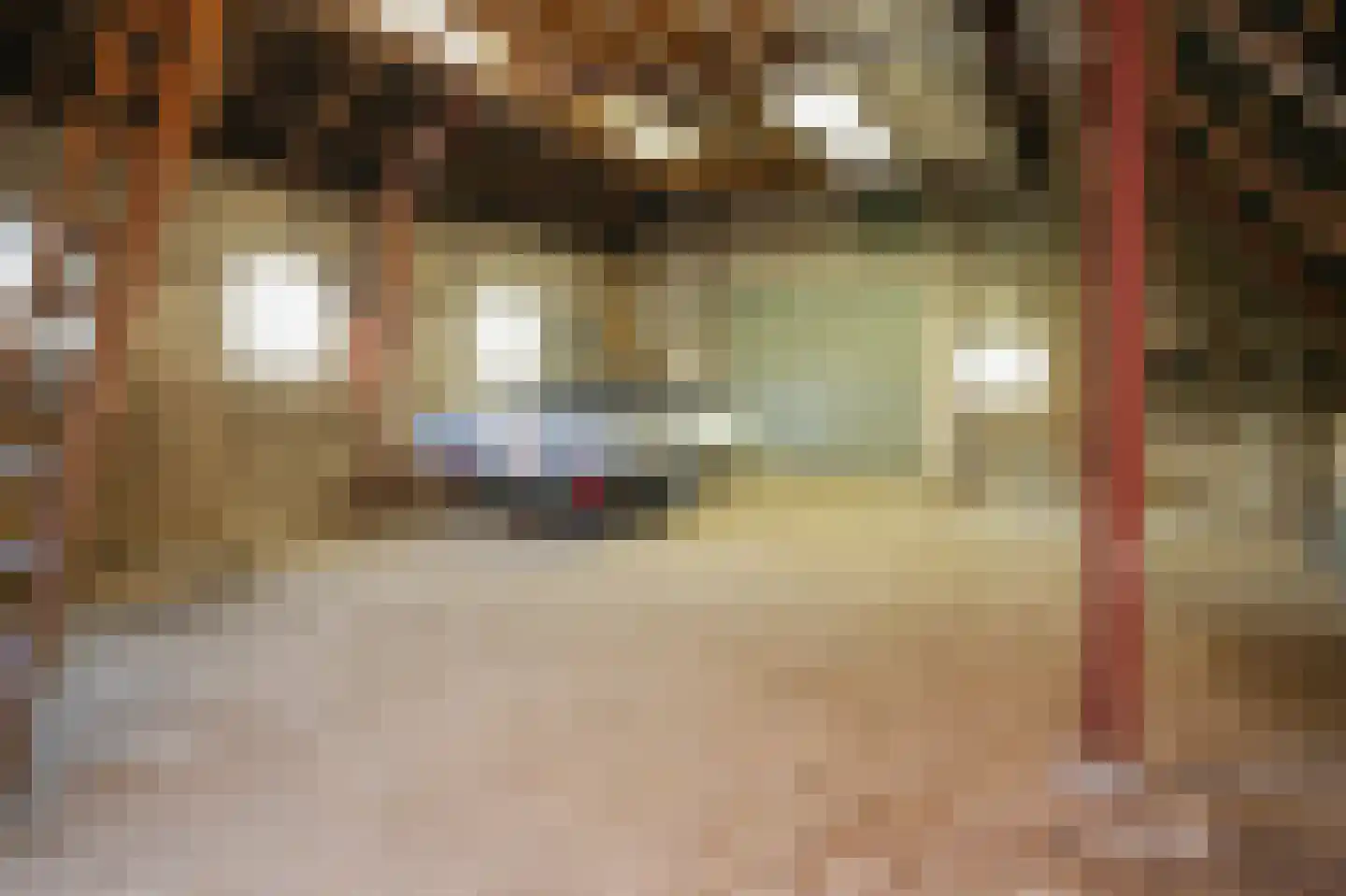 Geerweg 6 Alphen thumbnail 54
