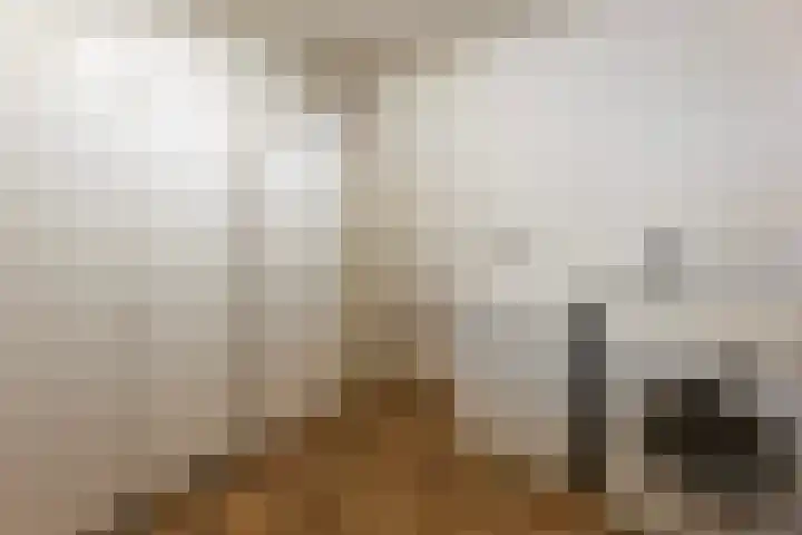 Geesinksbrink 12 Eibergen thumbnail 19