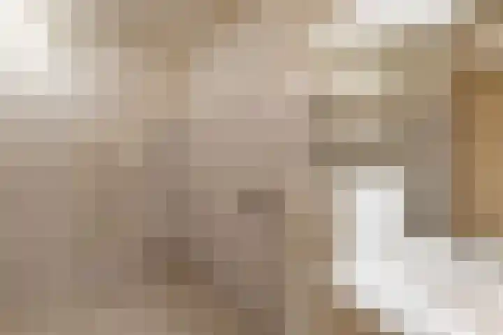 Geesinksbrink 12 Eibergen thumbnail 24