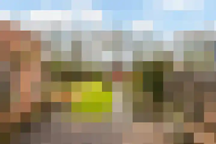 Geesinksbrink 12 Eibergen thumbnail 35