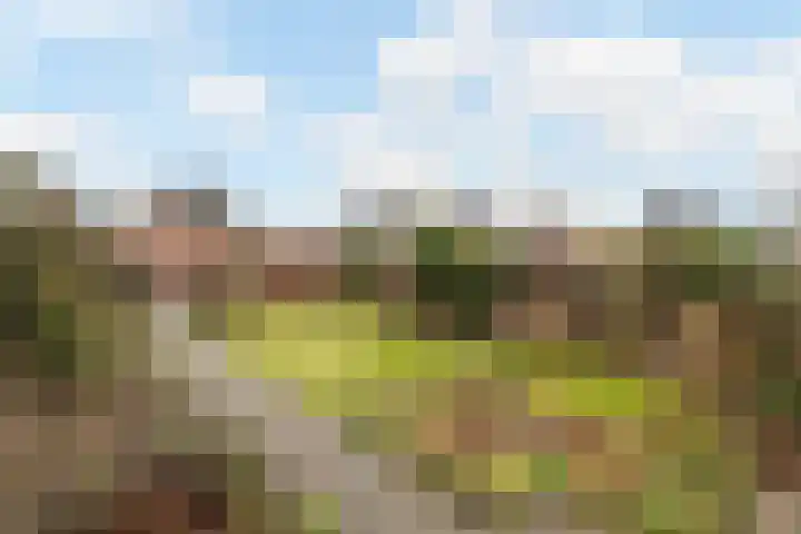 Geesinksbrink 12 Eibergen thumbnail 4