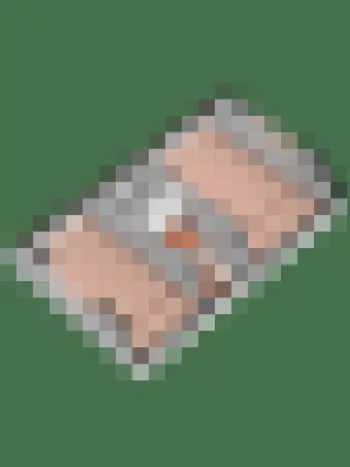 Geesinksbrink 12 Eibergen thumbnail 42