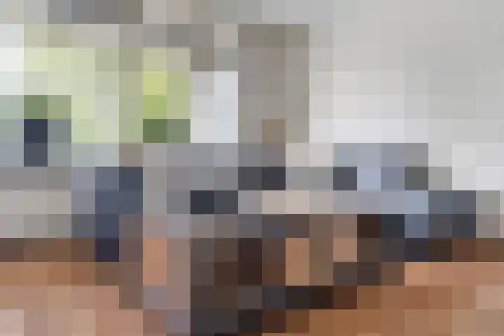 Geessinkweg 189 Enschede thumbnail 17