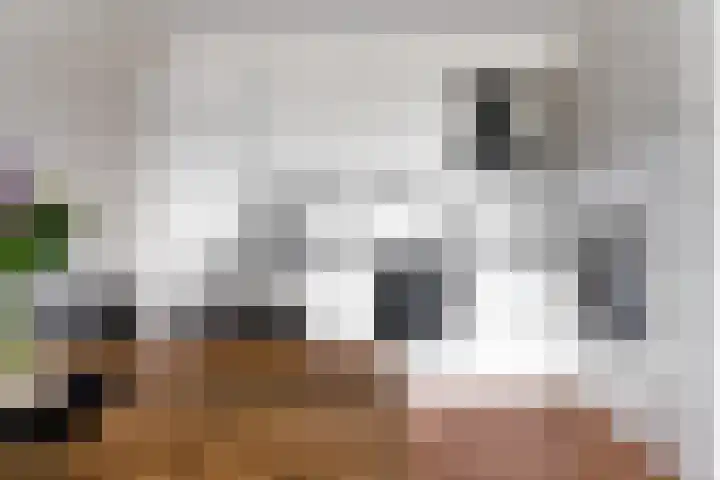 Geessinkweg 189 Enschede thumbnail 22