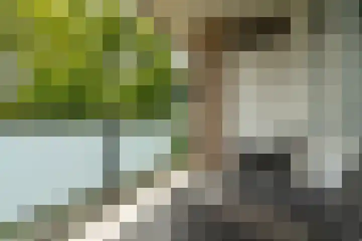 Geessinkweg 189 Enschede thumbnail 34