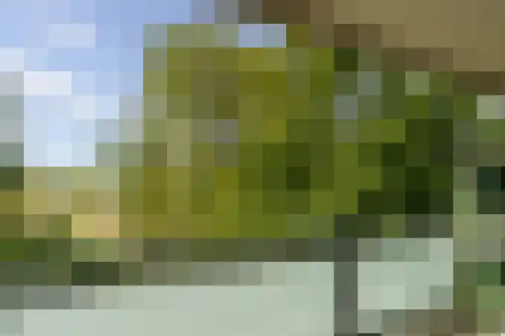 Geessinkweg 189 Enschede thumbnail 36