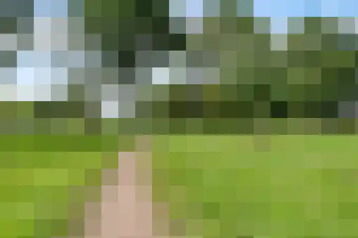 Geessinkweg 253 Enschede thumbnail 28