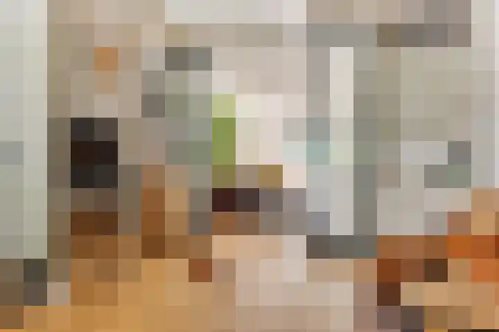Geest 32 Alkmaar thumbnail 21