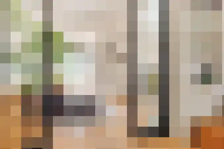 Geest 32 Alkmaar thumbnail 22