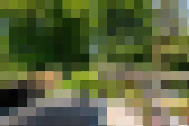 Geest 32 Alkmaar thumbnail 26