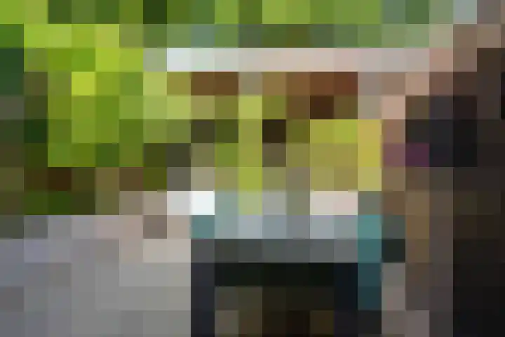 Geest 32 Alkmaar thumbnail 32