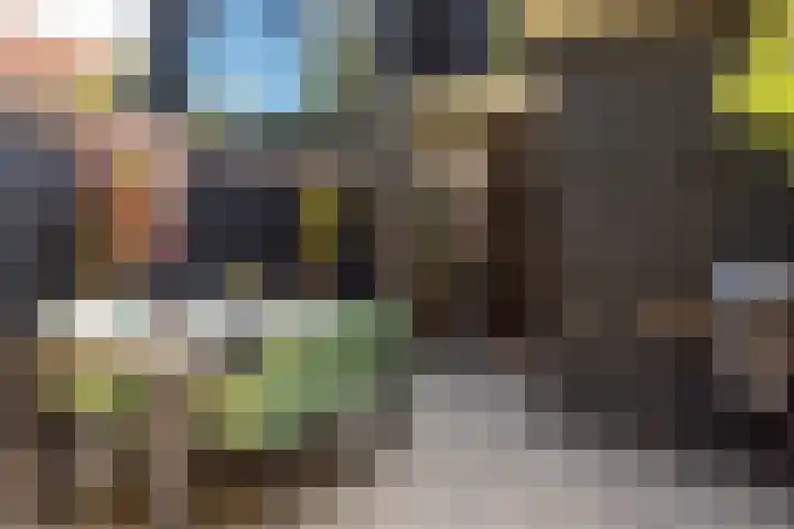 Geest 32 Alkmaar thumbnail 38