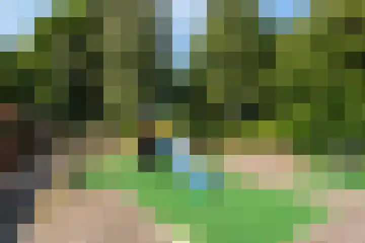 Geest 32 Alkmaar thumbnail 45
