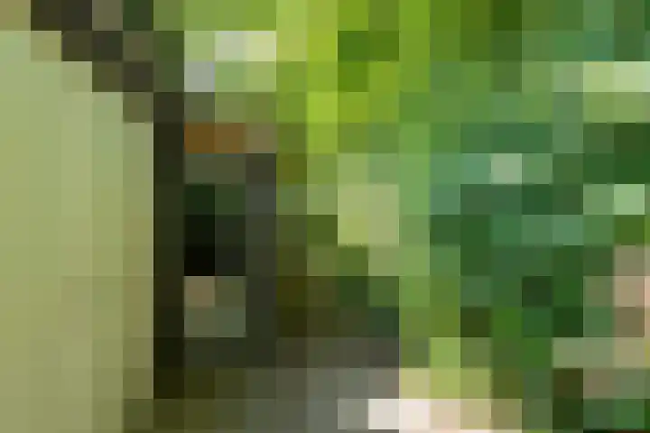 Geest 32 Alkmaar thumbnail 46