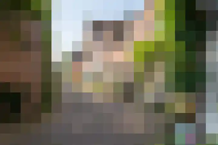 Geest 32 Alkmaar thumbnail 47