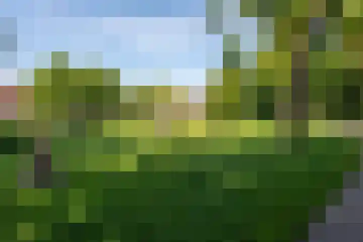 Geest 32 Alkmaar thumbnail 53
