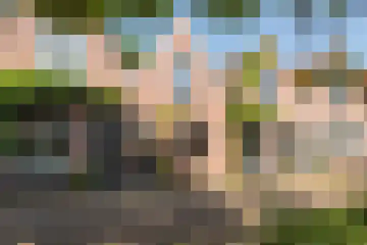 Geest 32 Alkmaar thumbnail 6