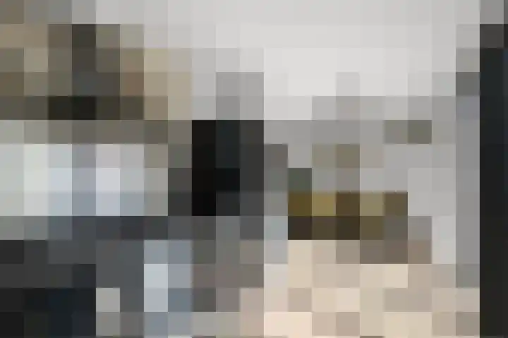 Geestakker 35 Heiloo thumbnail 12