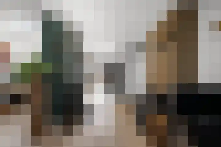 Geestakker 35 Heiloo thumbnail 17