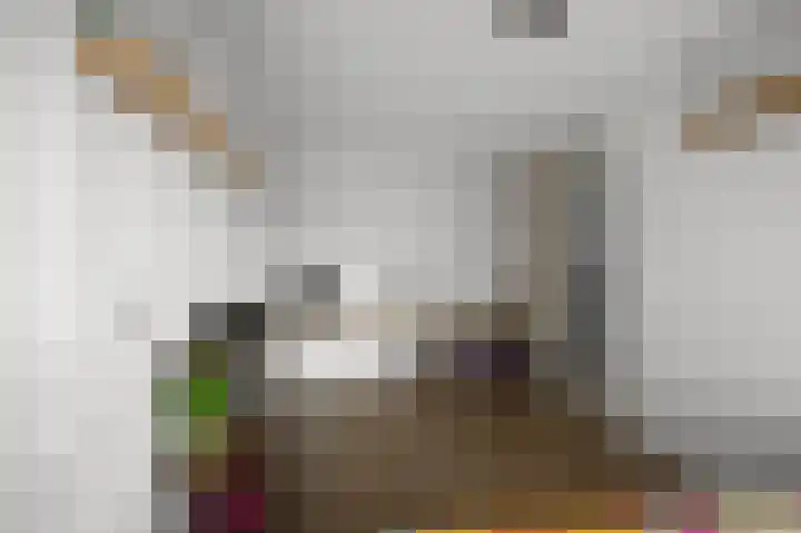 Geestakker 35 Heiloo thumbnail 26