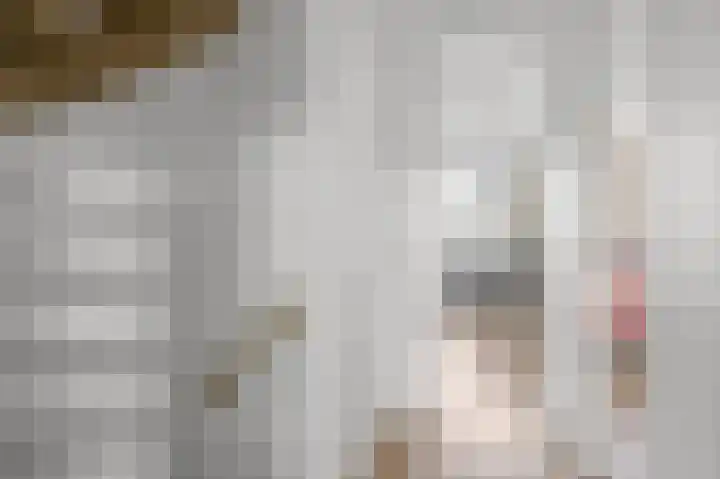 Geestakker 35 Heiloo thumbnail 29