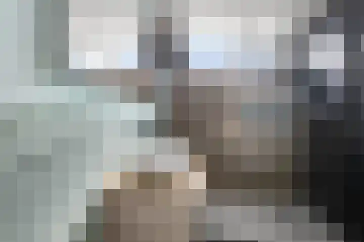 Geestakker 35 Heiloo thumbnail 30